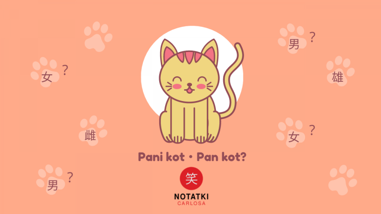 koty w Japonii