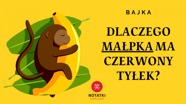 dlaczego małpka ma czerwony tyłek