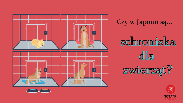 schroniska dla zwierząt w Japonii